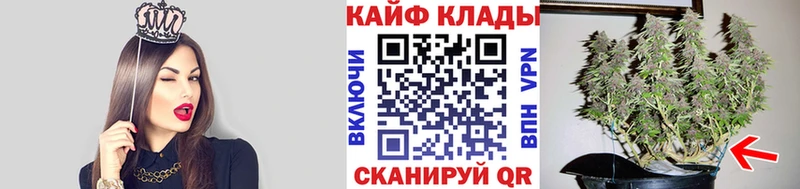 Где найти наркотики Шимановск МЕТАМФЕТАМИН  мега ссылка  Меф мяу мяу  ГАШИШ  Галлюциногенные грибы  АМФ 