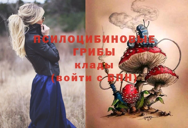 трава Армянск